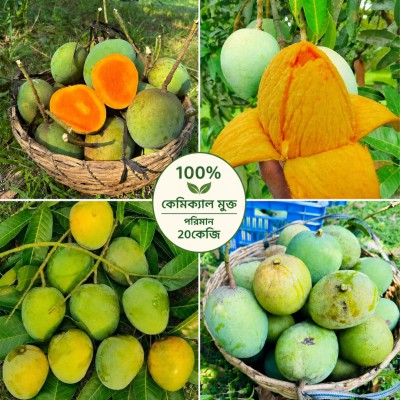 🥭 গোবিন্দভোগ আম | ২০ কেজি | ২,৯০০ টাকা