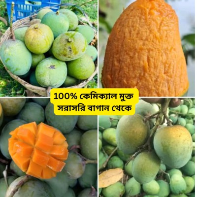 🥭 গোবিন্দভোগ আম | ৩০ কেজি |  ৪,২০০ টাকা