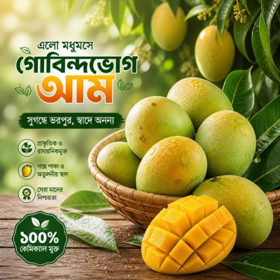 🥭 গোবিন্দভোগ আম | ৪০ কেজি | ৫,২০০ টাকা