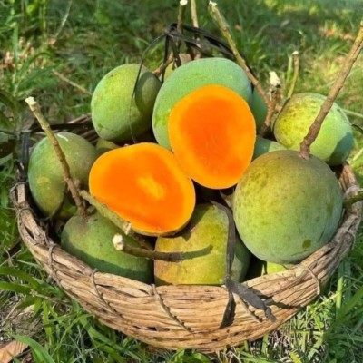 হিমসাগর আম | ৩০ কেজি